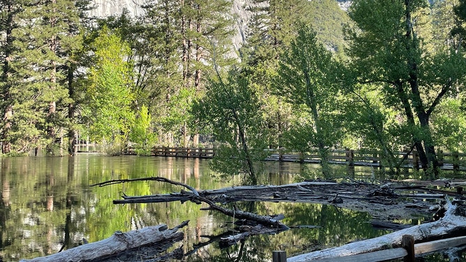 Yosemite photos show park flooding as historic snow melts