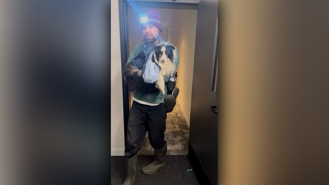Colorado dog missing over 5 weeks found miles from home by mountain hiker