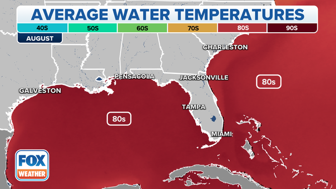 August SST Gulf Coast