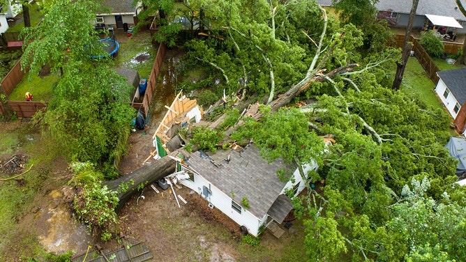 Large oak tree falls on house in Arkansas