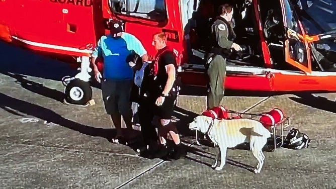 Watch: 2 boaters, dog plucked from catamaran by Coast Guard as it sank off Georgia coast