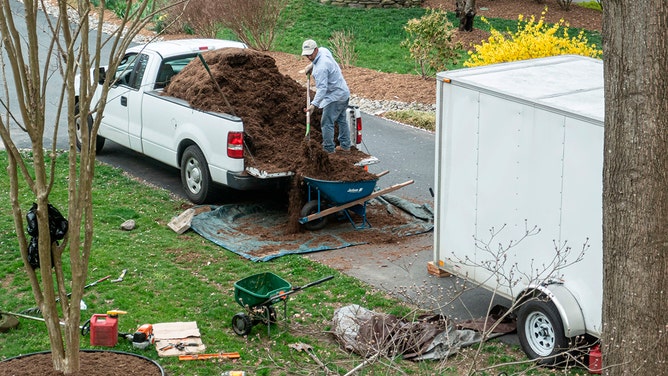 Man unloading garden mulch from truck in Fairfax, Virginia