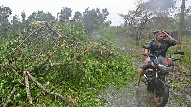 A man rides his motorcycle beside a fallen tree in Teknaf on May 14, 2023, during the Cyclone Mocha's landfall. Cyclone Mocha crashed ashore in Myanmar and southeastern Bangladesh on May 14, uprooting trees, scattering flimsy homes in Rohingya displacement camps and bringing a storm surge into low-lying areas.