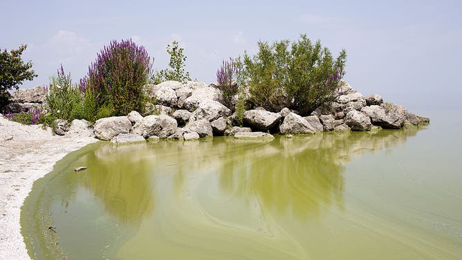 2014 image from Lake Erie