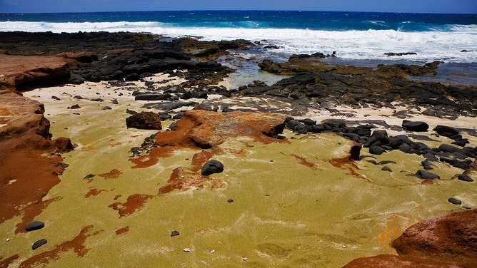 Green sand beach at Ka Lae, South Point, on the big island of Hawaii, Kona.