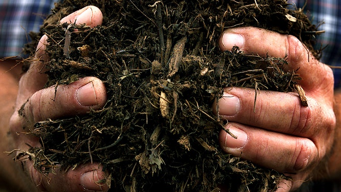 Terry Smith holds a handful of his high grade mulch, made only of tree cuttings