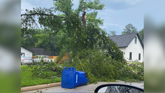 Snapped tree in Huntsville, Texas on May 23, 2023.