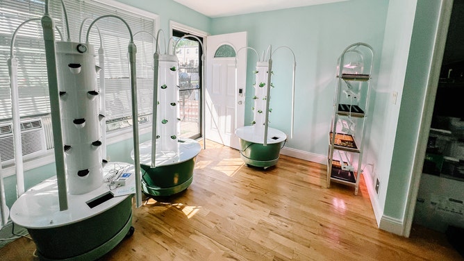 Hydroponics systems.