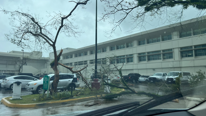 Large tree branches are seen snapped like twigs after Typhoon Mawar lashed the U.S. island territory of Guam on Wednesday, May 24, 2023.