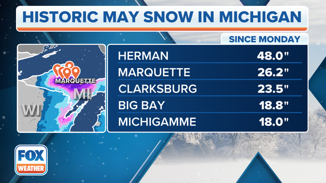 Michigan Snow Totals