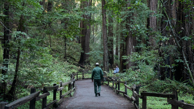 FILE - Charlie Strickfaden walks through Muir Woods National Monument in Mill Valley, Calif. Monday, Jan. 10, 2022.