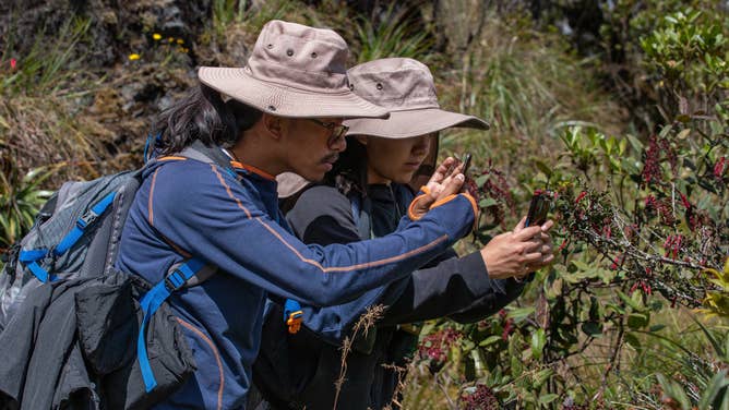 Participants in the the City Nature Challenge in La Paz.