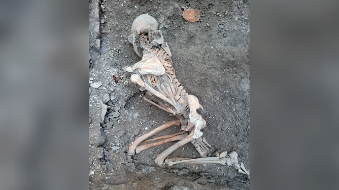 One of the two skeletons discovered at the Pompeii Archaeological Site.