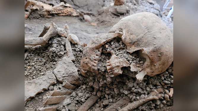 A close up look at the skull of a victim killed in an earthquake during the eruption of Mount Vesuvius in 79 AD.