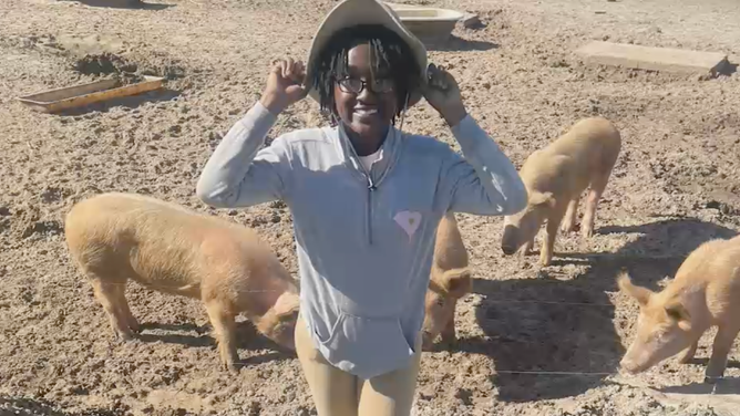 Butler on the farm.