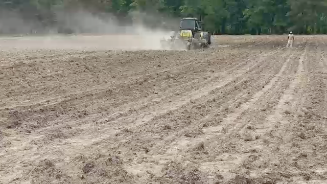 A tractor on a field at Martin Farm Meats.