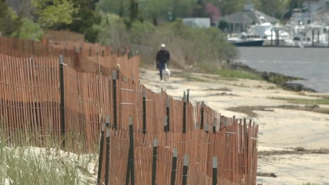 A man and dog walk along the shoreline.