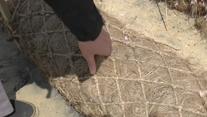 Close-up view of the coconut fiber logs.