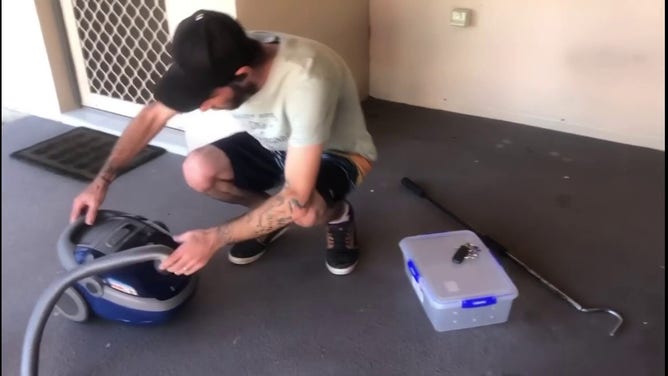 Snake rescued after Australia woman sucks reptile up in vacuum cleaner