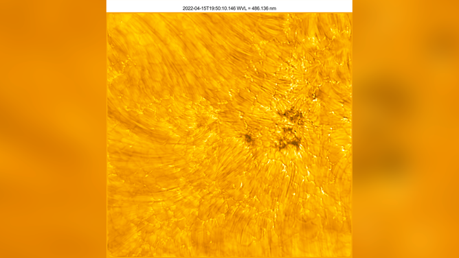 The lower atmosphere (chromosphere) of the Sun exists above the Sun’s surface (photosphere). In this image, dark, fine threads (fibrils) are visible in the chromosphere emanating from sources in the photosphere – notably, the dark pores/umbral fragments and their fine structure. A pore is a concentration of magnetic field where conditions are not met to form a penumbra. Pores are essentially sunspots that have not had or will never have a penumbra. Penumbra: The brighter, surrounding region of a sunspot’s umbra characterized by bright filamentary structures.