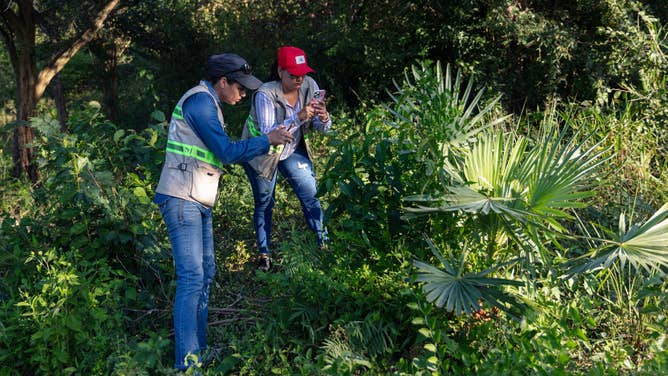 WCS joined forces with another Bolivian city, Trinidad, in the City Nature Challenge. Trinidad won all three categories for a city of its size. In this photo, Trinidad Municipal government staff participate in the City Nature Challenge.