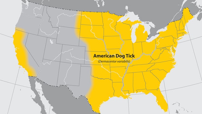 American dog tick distribution.