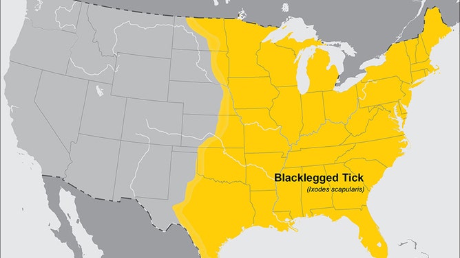 The blacklegged tick is commonly found in the yellow area. It is responsible for spreading Lyme and Powassan virus disease.