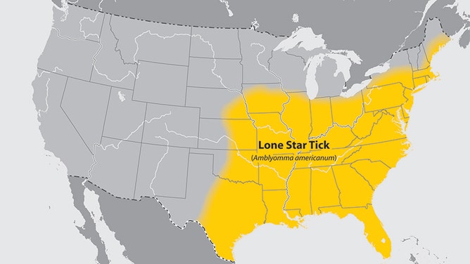 The lone star tick transmits a protein that causes an extreme meat allergy.