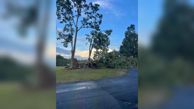 Wind Damage in Cherryville, NC