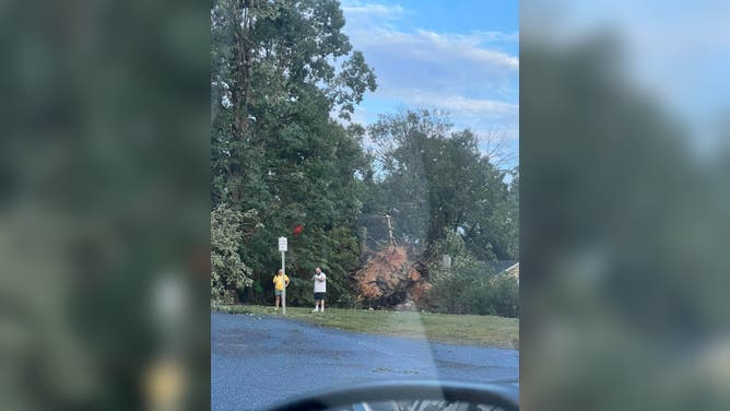 Wind Damage in Cherryville, NC