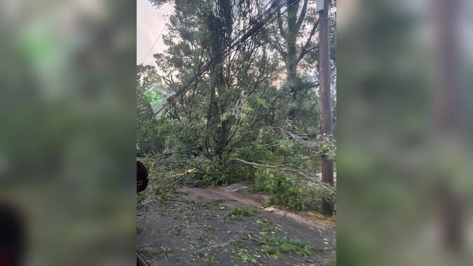 Wind Damage in Cherryville, NC