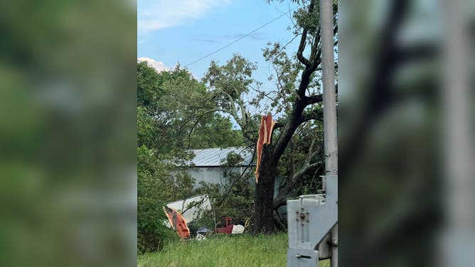 Wind Damage in Cherryville, NC