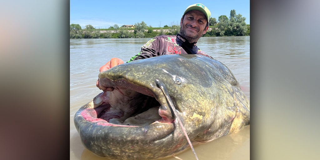 It took a team effort to land this giant catfish