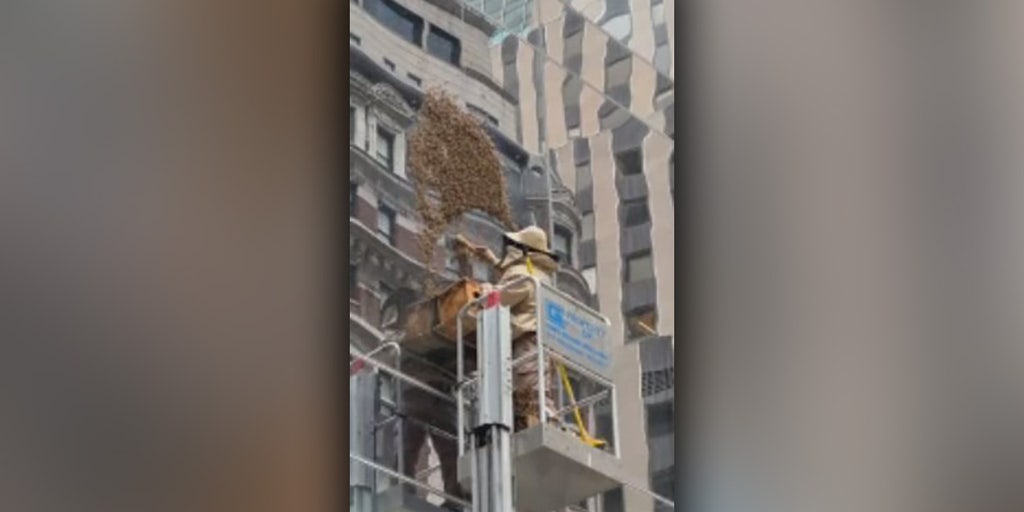 Watch Bees swarm New York's Times Square Fox Weather