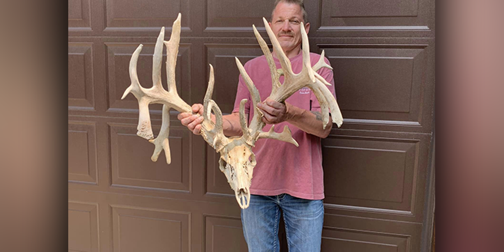 Deadhead Buck Sets New State Record In Minnesota Fox Weather deadhead-buck-sets-new-state-record-in-minnesota-fox-weather
