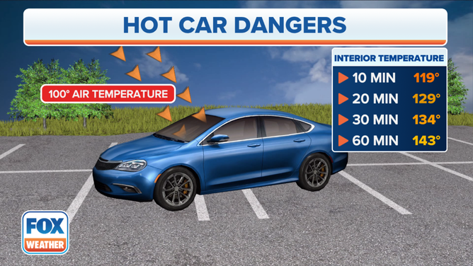 A graphic showing hot fast temperatures inside a locked vehicle can climb on a warm day. Within an hour, temperatures inside a car can reach 143 degrees when the outside air temperature is 100 degrees.