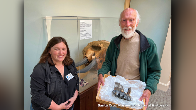 Liz Broughton, visitor experience manager at the museum, stands next to Jim Smith as he holds the molar tooth of the Pacific mastodon that he found.