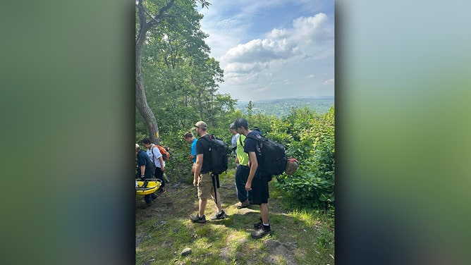 Firefighters rescue dog that jumped 34 feet from tower in Connecticut state park