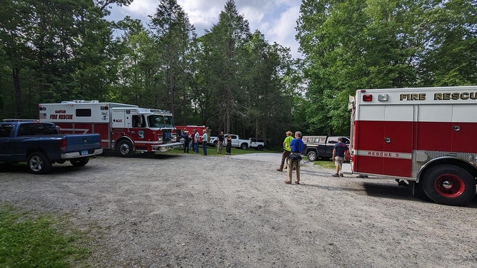 Firefighters rescue dog that jumped 34 feet from tower in Connecticut state park