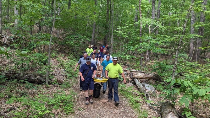 Firefighters rescue dog that jumped 34 feet from tower in Connecticut state park