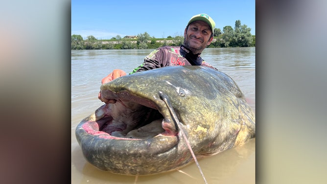 Fisherman catches 9-foot-long catfish in Italy, likely largest