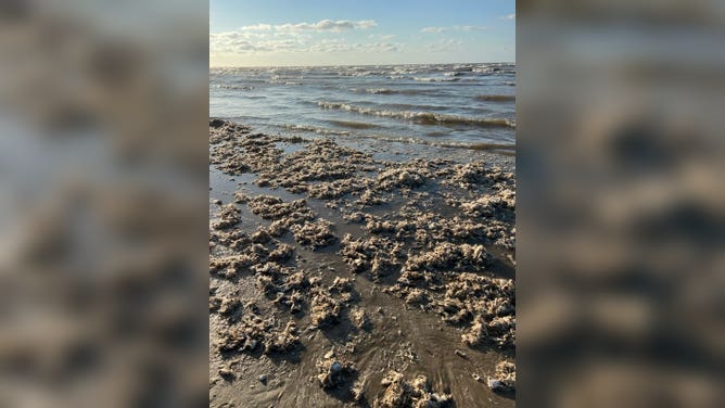 Shredded fish skeletons wash up on Quintana Beach County Park in Texas on Sunday, June 11, 2023.