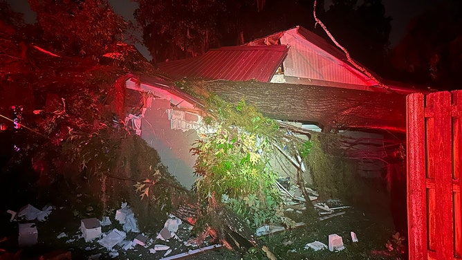 Child rescued after giant tree falls onto Florida home while family slept