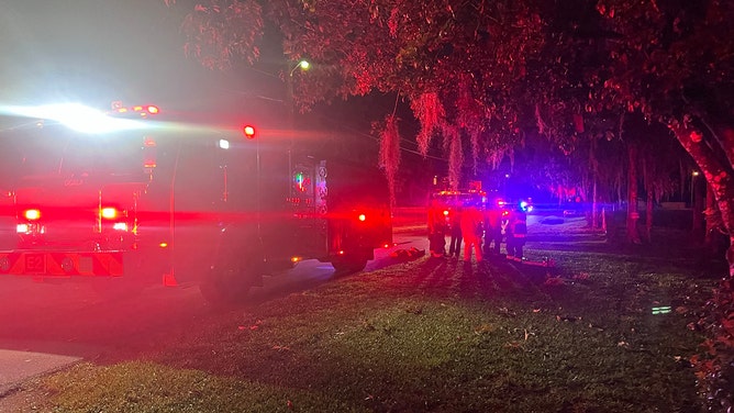 Child rescued after giant tree falls onto Florida home while family slept