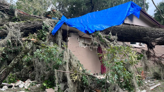 Child rescued after giant tree falls onto Florida home while family slept