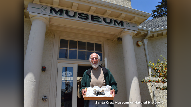 Santa Cruz Museum of Natural History found Jim Smith after an international plea to find the molar tooth of the Pacific mastodon spotted on Rio Del Mar beach last Friday.