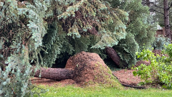 Douglas County is currently amid obvious severe weather to include unconfirmed tornado touch downs causing reported damage through Highlands Ranch and Parker. June 22, 2023.