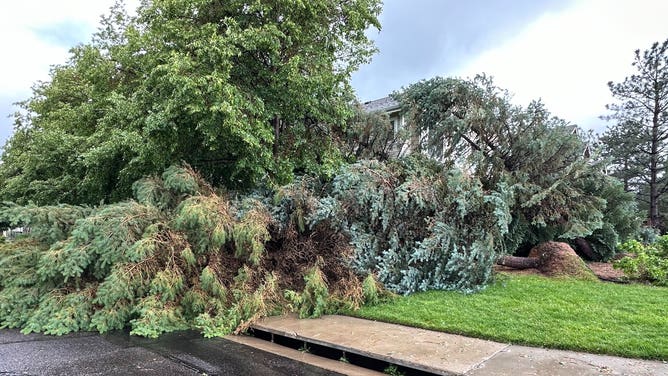 Douglas County is currently amid obvious severe weather to include unconfirmed tornado touch downs causing reported damage through Highlands Ranch and Parker. June 22, 2023.