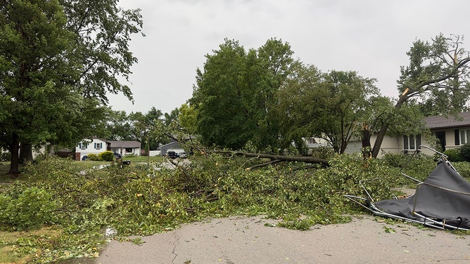Trees were seen fallen across the road in a Chatham, Illinois, subdivision on Thursday.
