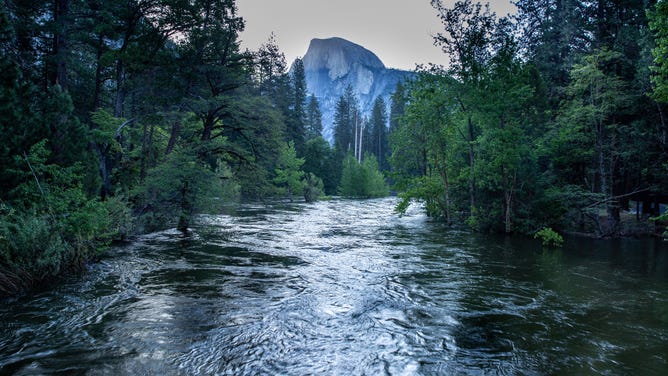 YOSEMITE NATIONAL PARK, CA - MAY 25: A flooding Merced River and Half Dome are viewed on May 25, 2023, in Yosemite National Park, California. Following a record snowfall in the upper levels of Yosemite National Park and Sierra Crest, many of the meadows and campgrounds have been flooded as a high spring snow melt continues with summer approaching. (Photo by George Rose/Getty Images)